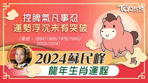 蘇民峰風水|2024年龍年布局｜蘇民峰教家居風水布局 趨旺財運桃 